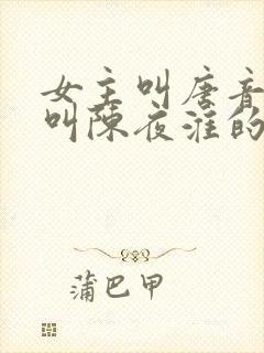 女主叫唐音男主叫陈夜淮的小说