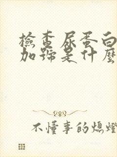 检查尿蛋白一个加号是什么原因