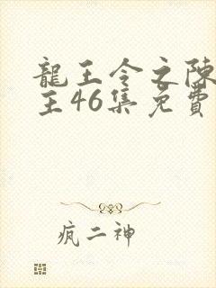 龙王令之陈平殿主46集免费观看