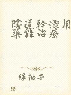 阴道干涩用什么药能治疗