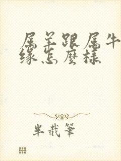 属羊跟属牛的姻缘怎么样