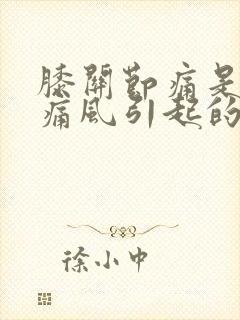 膝关节痛是不是痛风引起的