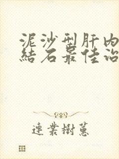 泥沙型肝内胆管结石最佳治疗方法