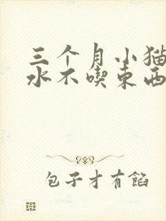 三个月小猫吐黄水不吃东西怎么办