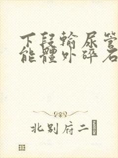 下段输尿管结石能体外碎石么