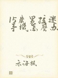 15岁男孩迷恋手机怎么办