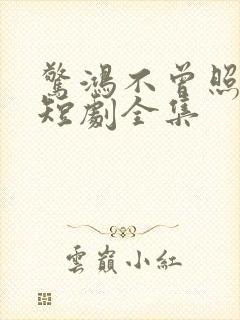 惊鸿不曾照影来短剧全集