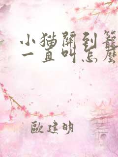 小猫关到笼子里一直叫怎么办