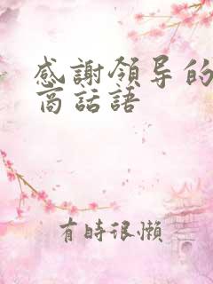 感谢领导的高情商话语