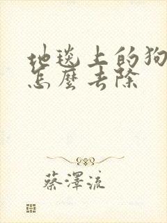 地毯上的狗尿味怎么去除