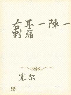 右耳一阵一阵的刺痛