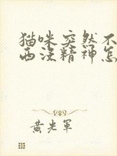 猫咪突然不吃东西没精神怎么办