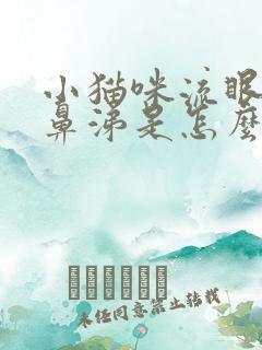 小猫咪流眼泪流鼻涕是怎么回事