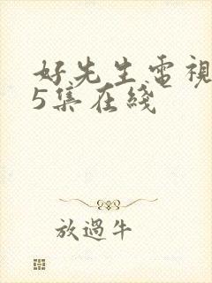 好先生电视剧45集在线