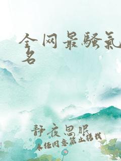 全网最骚气的网名