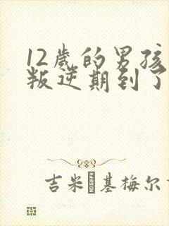 12岁的男孩子叛逆期到了吗