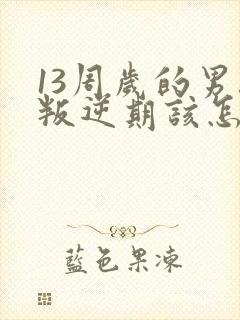 13周岁的男孩叛逆期该怎么办