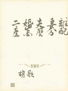 二婚夫妻离婚财产怎么分配