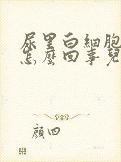 尿里白细胞高是怎么回事儿