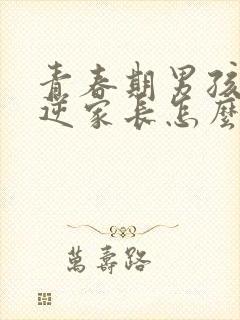 青春期男孩的叛逆家长怎么办