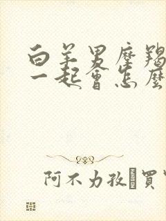 白羊男摩羯女在一起会怎么样