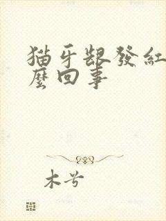 猫牙龈发红是怎么回事