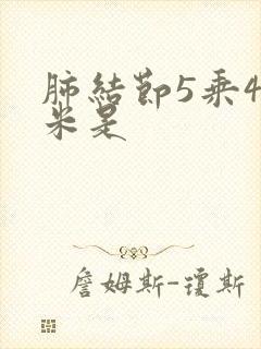 肺结节5乘4毫米是