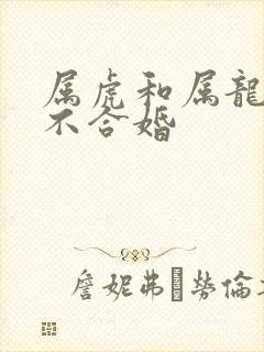 属虎和属龙的合不合婚