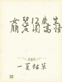 女儿12岁生日朋友圈高情商的句子