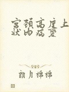 宫颈高度上皮鳞状内病变