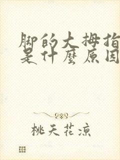 脚的大拇指麻木是什么原因引起的