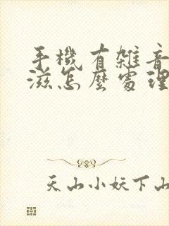 手机有杂音滋滋滋怎么处理掉