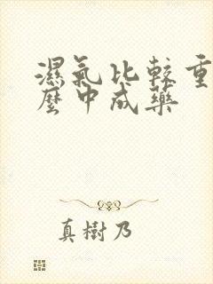 湿气比较重吃什么中成药