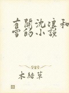 有关沈浪和苏若雪的小说