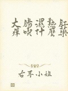 大肠湿热肛门瘙痒吃什么药