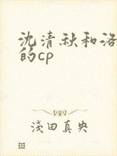 沈清秋和洛冰河的cp