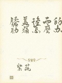 膝盖后面的腿窝筋痛怎么办