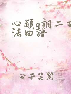 心愿g调二胡指法曲谱