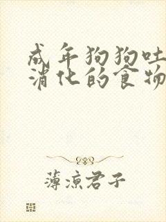 成年狗狗吐了没消化的食物