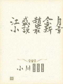 江盛赵念月晚星小说最新章节阅读