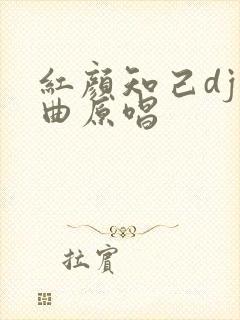 红颜知己dj歌曲原唱