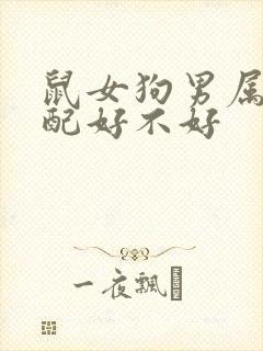 鼠女狗男属相婚配好不好