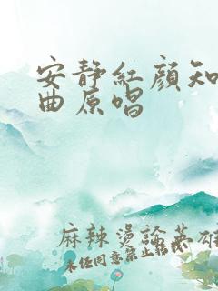 安静红颜知己歌曲原唱