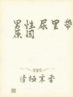 男性尿里带血的原因