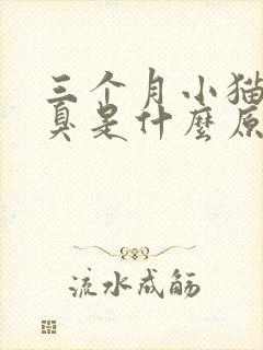 三个月小猫有口臭是什么原因