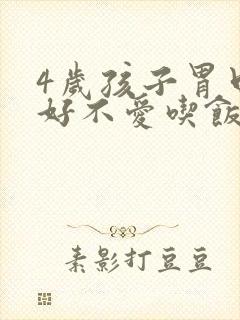 4岁孩子胃口不好不爱吃饭