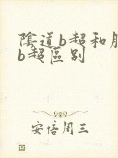 阴道b超和腹部b超区别