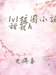 1v1校园小说甜宠h