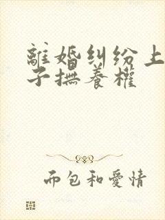 离婚纠纷上诉孩子抚养权