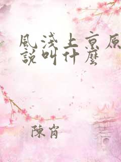 风浅上京原著小说叫什么